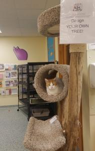 custom cat trees near me