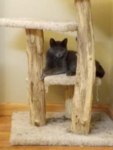 Cipher makes himself right at home