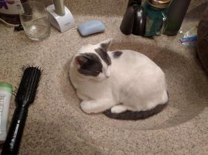 Looks like Selena has the run of the house--or at least the bathroom.