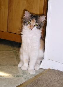 Sweet Zuzu posing for the camera