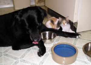 Zuzu helps Wilson eat his breakfast