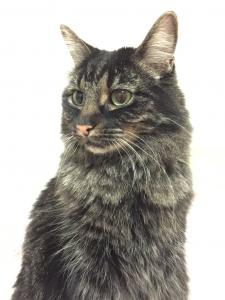 Deleuze practicing one of her model poses
