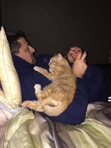 Minnie relaxing with her new human