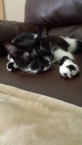 It's hard work being a rogue and a rascal all day!