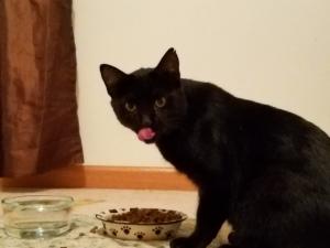 Delicious!