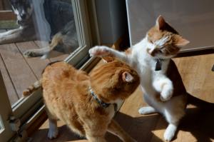 Playtime!