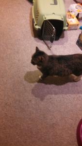 Cindy explores her new home