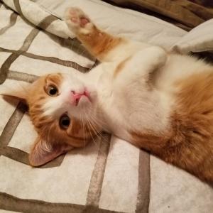 Kennedy poses for his glamor shots.