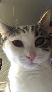 Ruthie examines the camera.