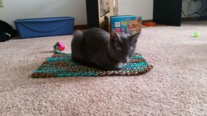 Becquer finds a quiet place to meditate in his new home.