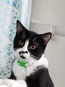 Fred shows off his freckles.