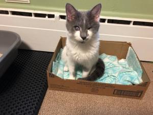 Joe poses for a photo in her fur-ever home.