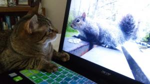 "How did that squirrel get inside that glow-y box?"