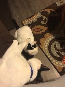 Shamus encourages Connor to join him on the couch.