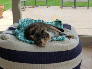 Daca can't believe how many great places she has to nap and play!