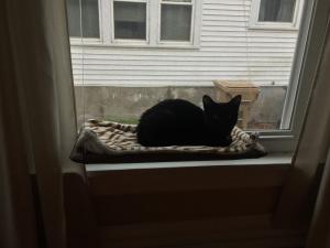 "No worries. I have the neighborhood watch covered!"
