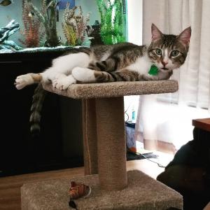 Finn shows off his cute side; just kidding, all of his sides are cute!