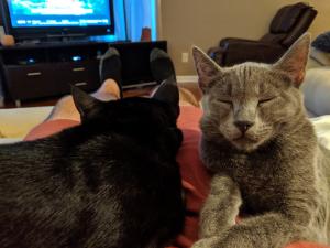 Happy nappers on Dad's lap.