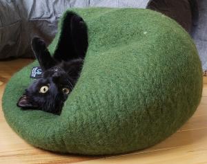 "I'm not upside down, you're upside down!"