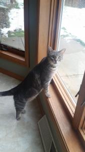"Are you for real? This whole backyard is MINE?!"