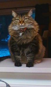 Dweezy presides regally over his kingdom.
