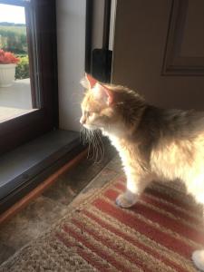 Peyton gets herself acquainted with her new neighborhood.