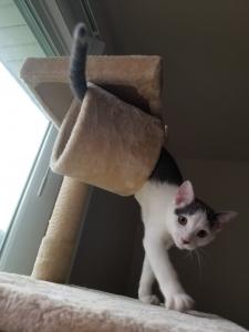 "Oh...hi...you're home early...this? No, I totally have this handled."