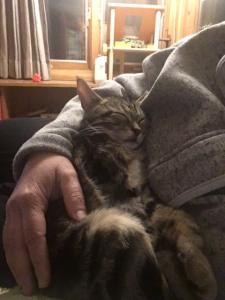 Could a cat BE any cozier? (Answer: No.)