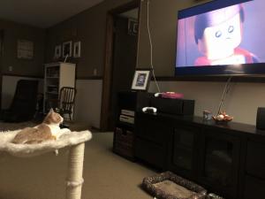 Noodle catches up on his favorite shows and movies in his private theater.