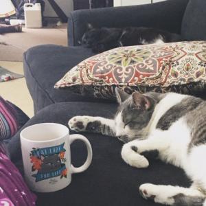 Just a typical Caturday