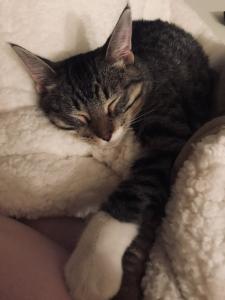 The best napping spot!