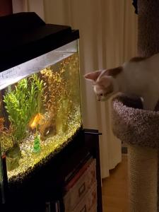 Just a little fish watching!