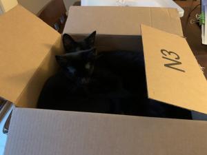 A cat sister too!