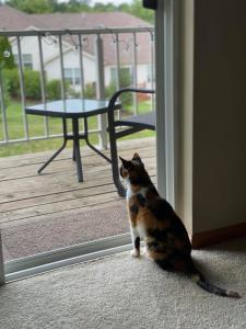 Piper's new favorite view.