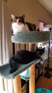 Making friends with one of his new housemates (soon-to-be-best friends!